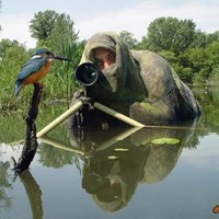 Bird Watching