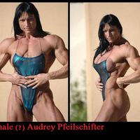 Audrey Pfeilschifter