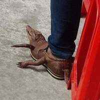 New crocs