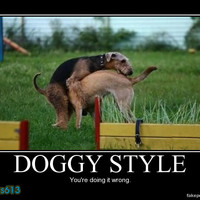 Doggy style