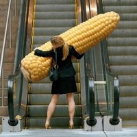 giant corn