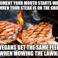 Moist grass 
