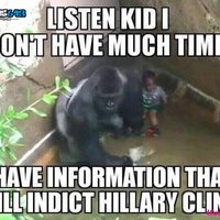 My fave Harambe meme