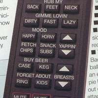 The Girlfriend remote