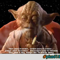 yoda stoned