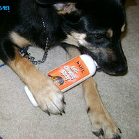Stops chewing!