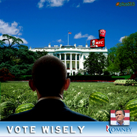VOTE WISELY