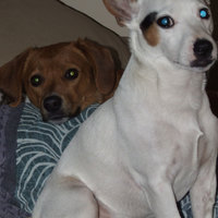 The kids