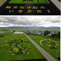 rice art