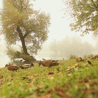 Bihac Bosnia & Hercegovinia