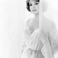 Gina Lollobrigida