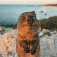 oh hi there