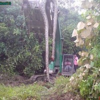 55ft snake 