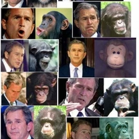 Proof that man has evolved from monkeys...