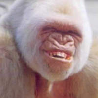 dis is pic of anonymous@111184. bitch!