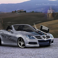 split hood