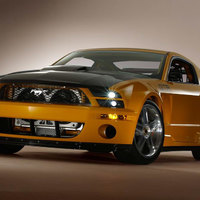 mustang.