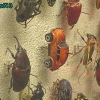 bugs..