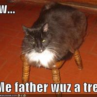 Naw...me father wuz a tree