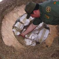 Hay 4 Sale