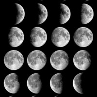 phases of the moon