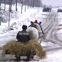 Police in Estonia