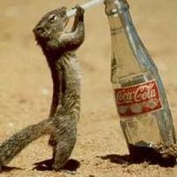 Drink Coca-Cola