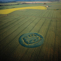 hello kitty crop circle