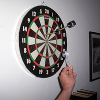 Nice Shot, Huh?