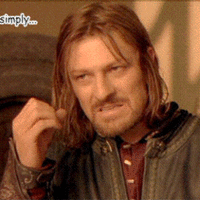 you do not simply walk into mordor