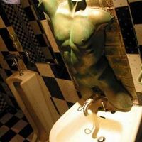 Gay toilet