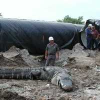 18 footer
