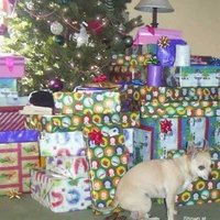 Ho Ho Ho Merry Christmas Ho Ho Ho