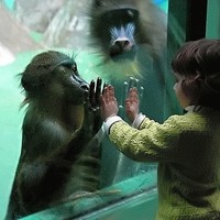 Cousins Reaching Out