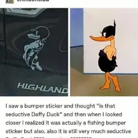 Stupid sexy daffy 