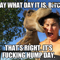 Hump Day