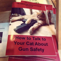 i think my cat is a terrorist