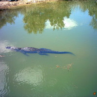 Come on in, the water's great!