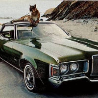 cougar then........