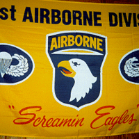 101st airborne flag