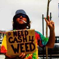 Honest Junky