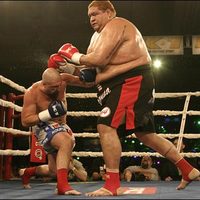 wanna fight