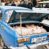 Transport