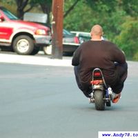 Mini Bike