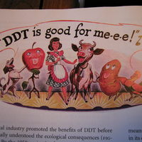 picture in a history college textbook