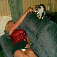 say hi to pussy
