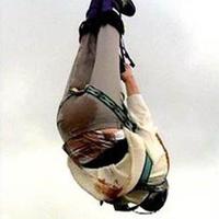 scared bungee
