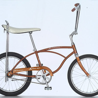 Schwinn