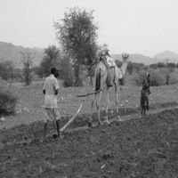 eritrea