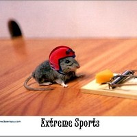 Extreme Sports